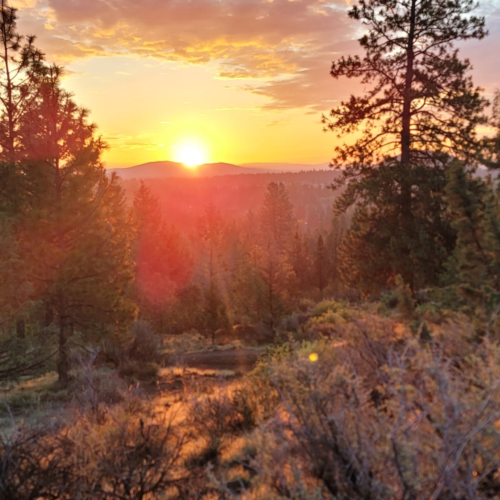 Meet your Posher, The